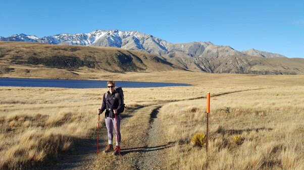 In the tussock